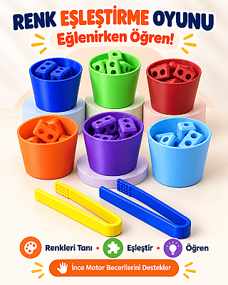 Renk Eşleştirme Oyunu | Çocuklar İçin Eğitici İnce Motor ve Renk Öğrenme Oyuncağı